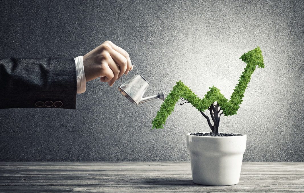 Hand watering a tree in the shape of an arrow pointing up