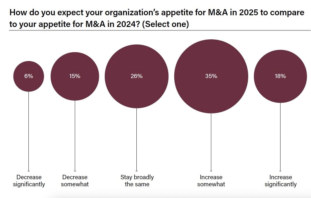 Appetite for M&A in 2025