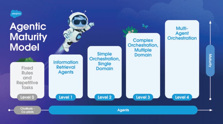 Salesforce Maturity Model